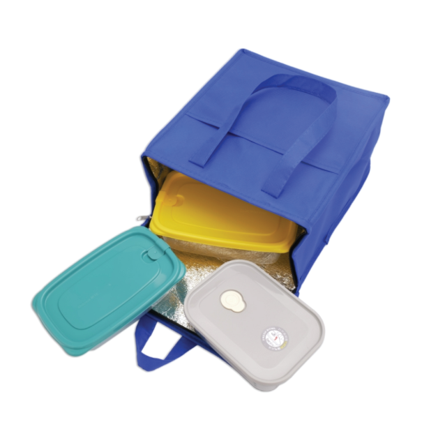 Bolsa Térmica Oxford 11 Litros