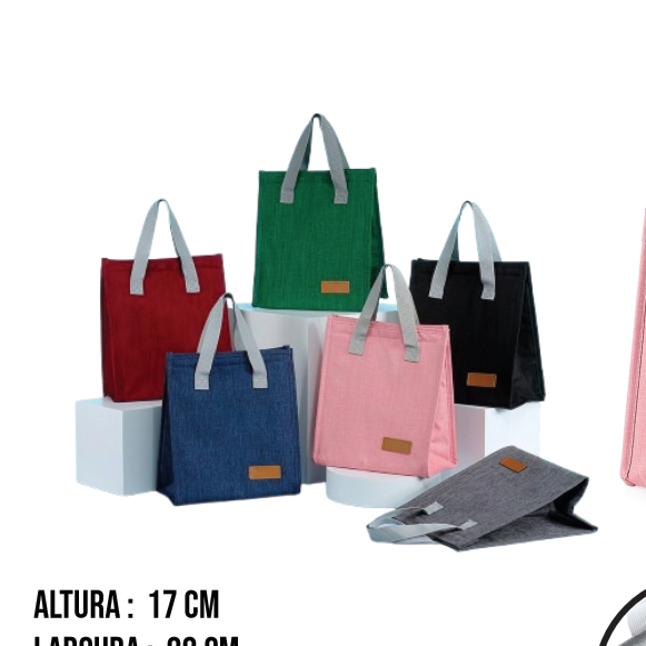Bolsa Térmica oxford 6 Litros
